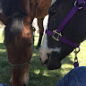 Meet your Posher, Justine